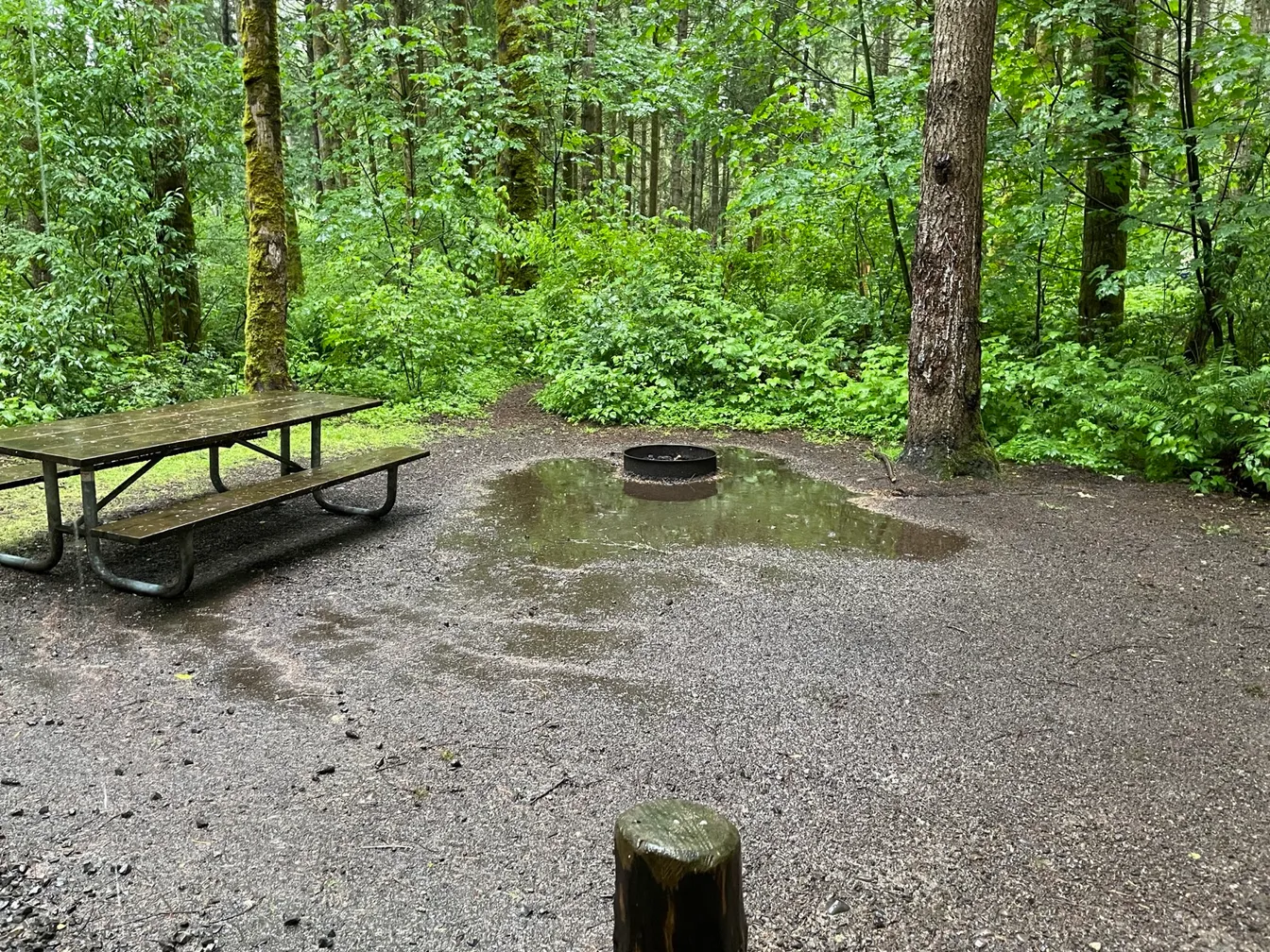 A rain-soaked campsite with puddles pooled around the fire ring, picnic table glistening, surrounded by mossy Pacific Northwest forest